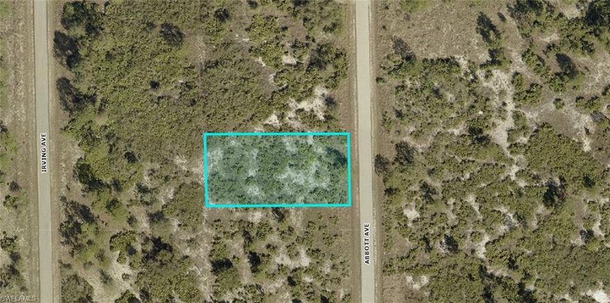 Great buildable half acre parcel just east of Joel with paved roads and power! This partial has very little brush to be cleared and it's ready for your brand new home or investment property! Joel Blvd. has quick access to both State Road 80 & State Road 82 so commuting around SW Florida will be super convenient! NOT an assignment of contract! LOCAL sellers with quick answers and fast, efficient closings! Make your offer TODAY! No assignment contracts accepted.