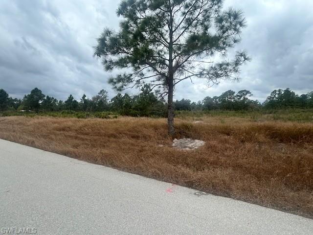 ISLAND OF HAPPINESS - Land