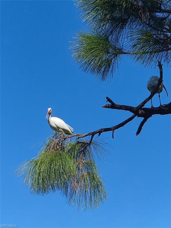 PORT CHARLOTTE - Residential