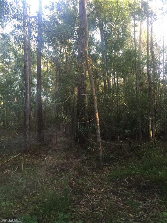 GOLDEN GATE ESTATES - Land