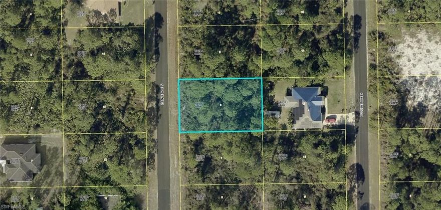 Residential building lot on a nicely paved street. Excellent location just minutes to SR 82, I-75, FT Myers and the SWFL International Airport. THE ADJOINING LOT 7 AT 729 DANTE AVE IS ALSO AVAILABLE FOR SALE.
