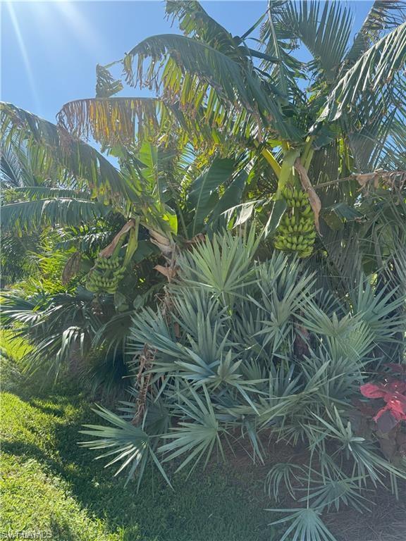 PALM RIVER - Residential