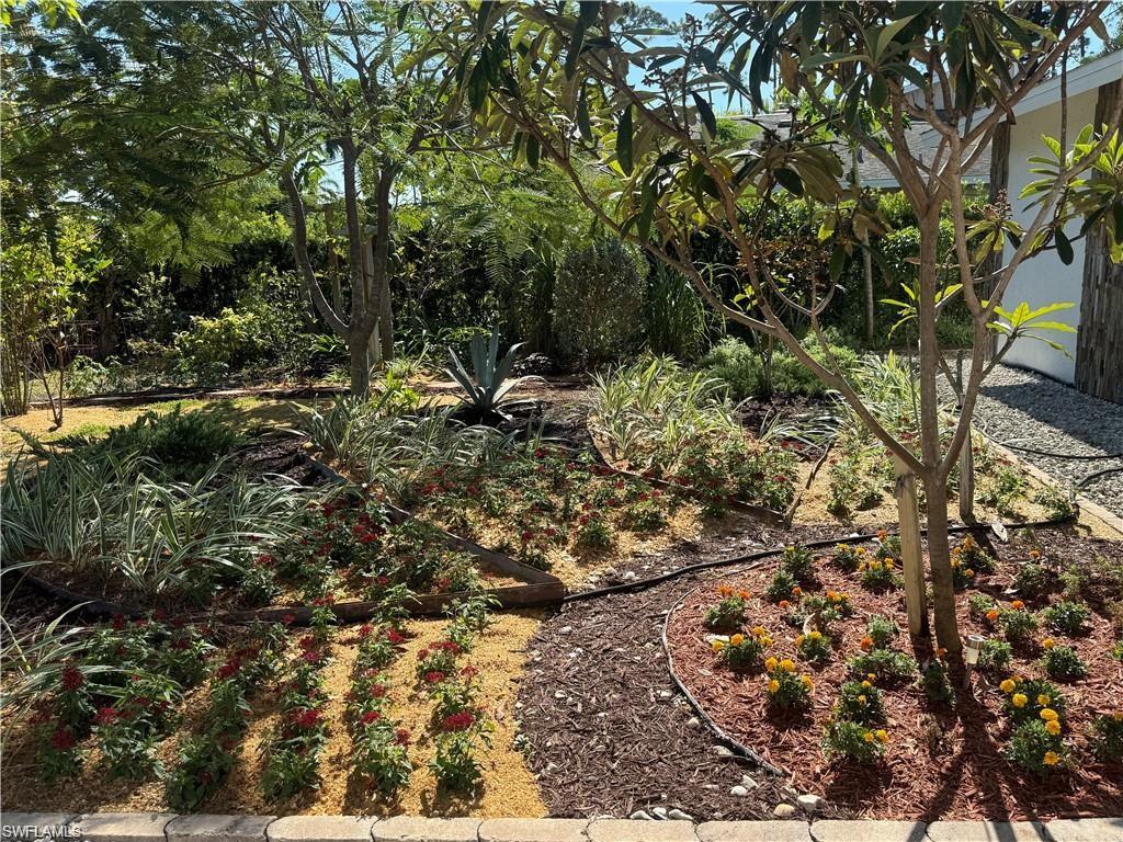 PALM RIVER - Residential