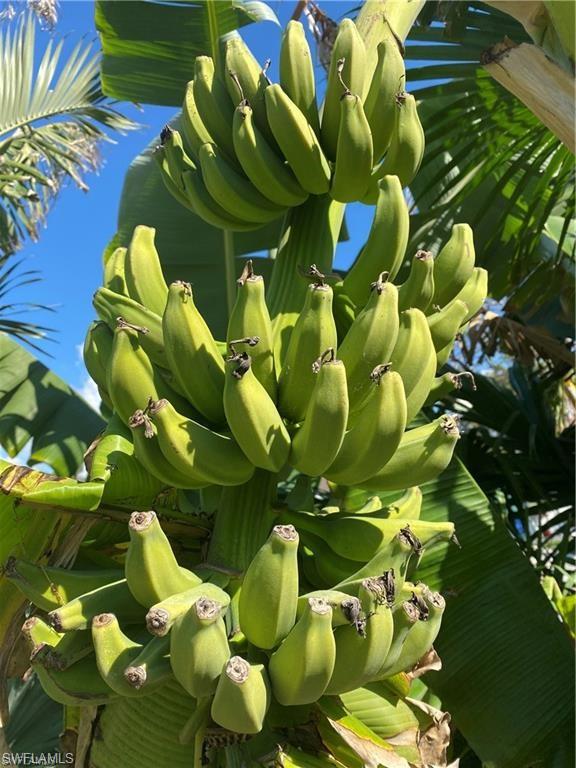 PALM RIVER - Residential