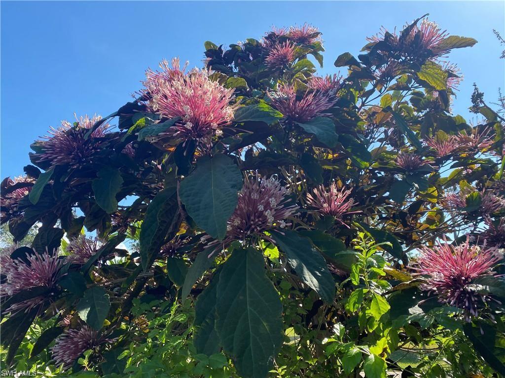 PALM RIVER - Residential