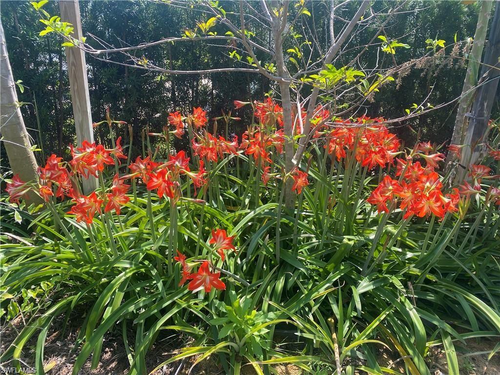 PALM RIVER - Residential