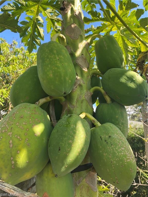 PALM RIVER - Residential