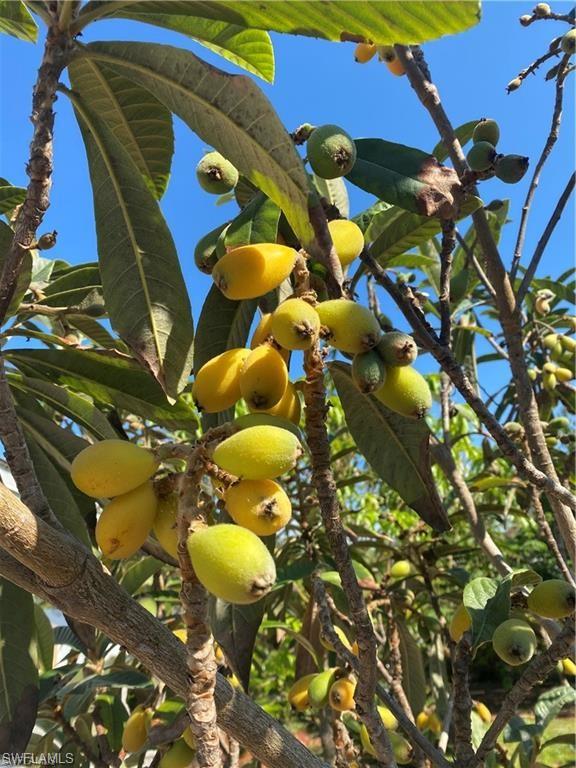 PALM RIVER - Residential