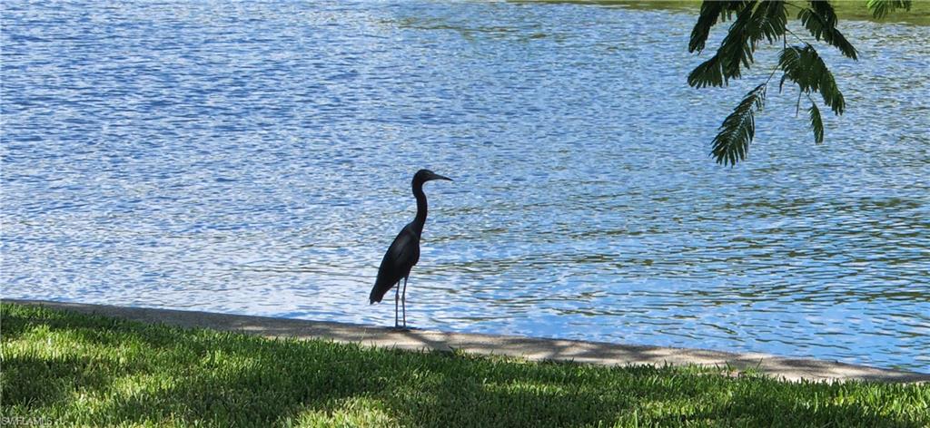 FOUR WINDS MARINA NORTH CONDO - Residential