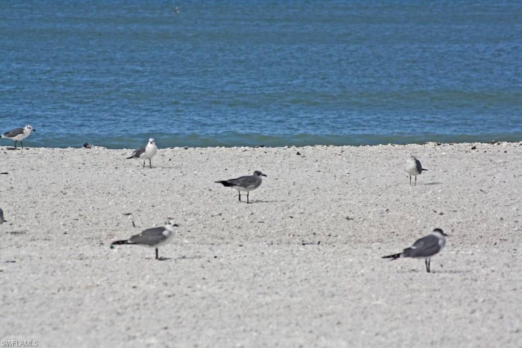 SEABREEZE APTS - Residential