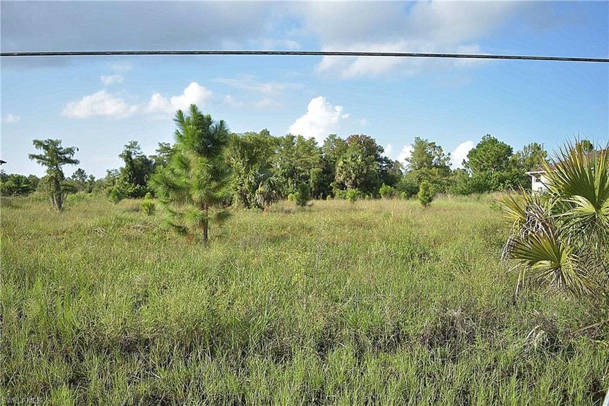 Very nice 1.14 Acres lot, located off Everglades Blvd N. Very close to Oil well Rd, one of the main roads that leads to Immokalee Rd and also all the way to state road 29. Just minutes from the Town of Ave Maria and Arthrex, a global medical device company. Furthermore, there are businesses close by as Publix Supermarket, CVS pharmacy, Dunkin' and more at the Neighborhood Shoppes at Orange Tree, the corner of Immokalee Rd and Randall Blvd. This site has scattered vegetation and grass ground cover. The land was deemed wetlands according to a recent environmental report.