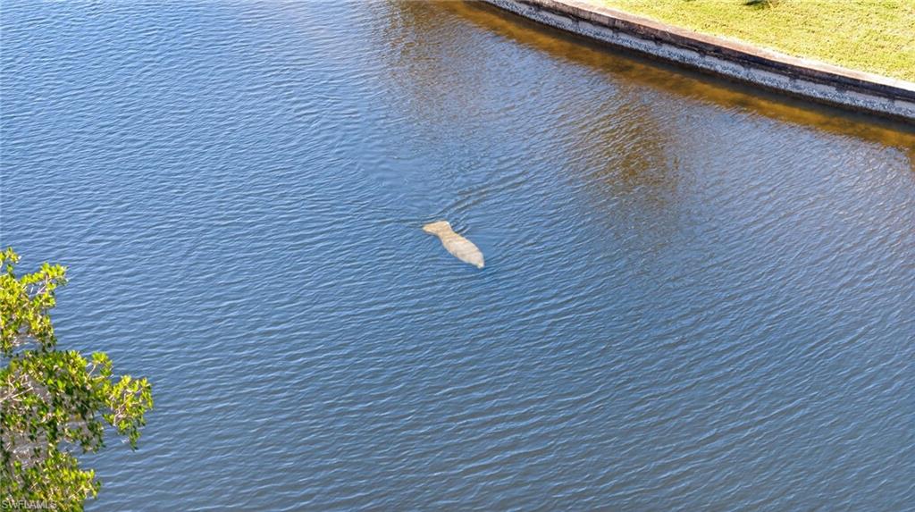 PALMETTO POINT - Residential