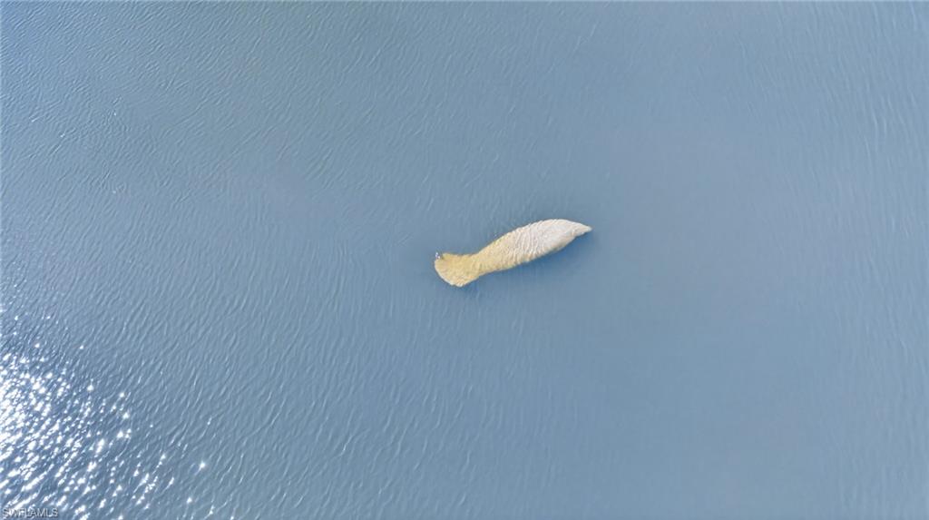 PALMETTO POINT - Residential