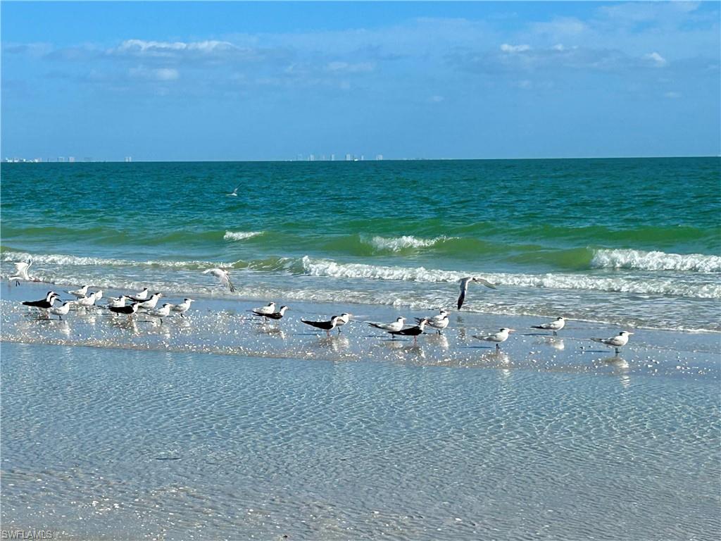 COQUINA BEACH CONDO - Residential