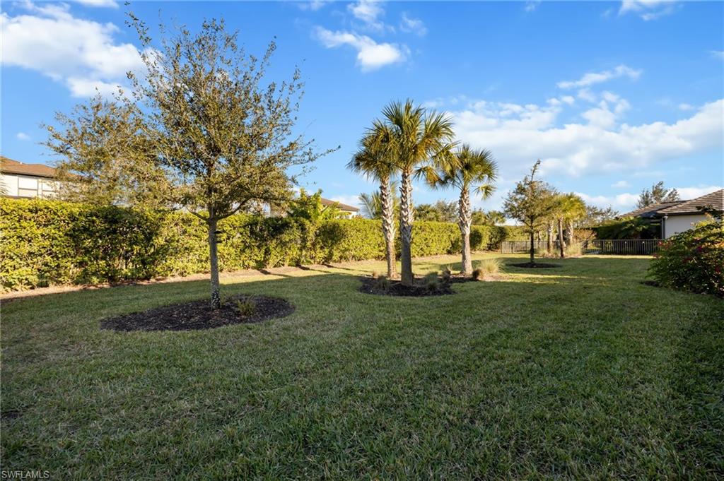 AVALON PARK - Residential