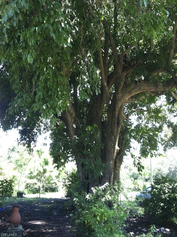 GREEN ACRES - Residential