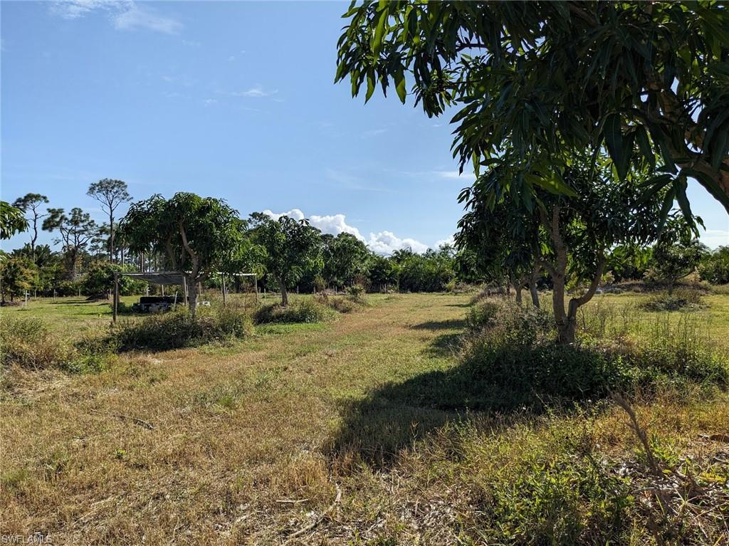 ST JAMES CITY - Land