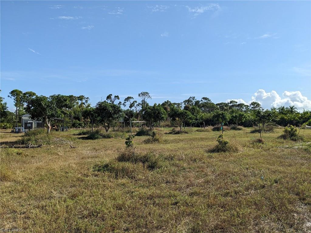 ST JAMES CITY - Land