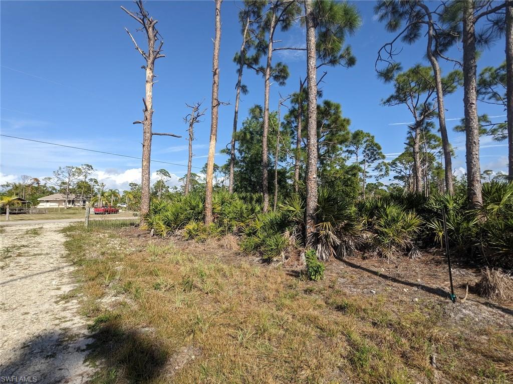 ST JAMES CITY - Land