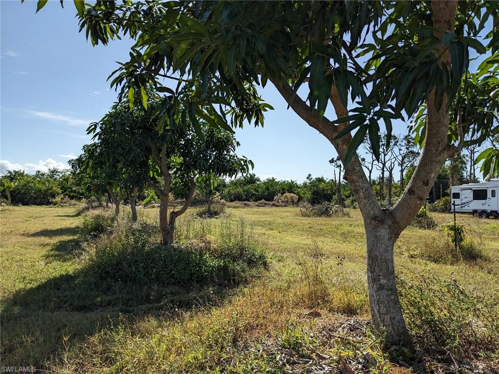 ST JAMES CITY - Land