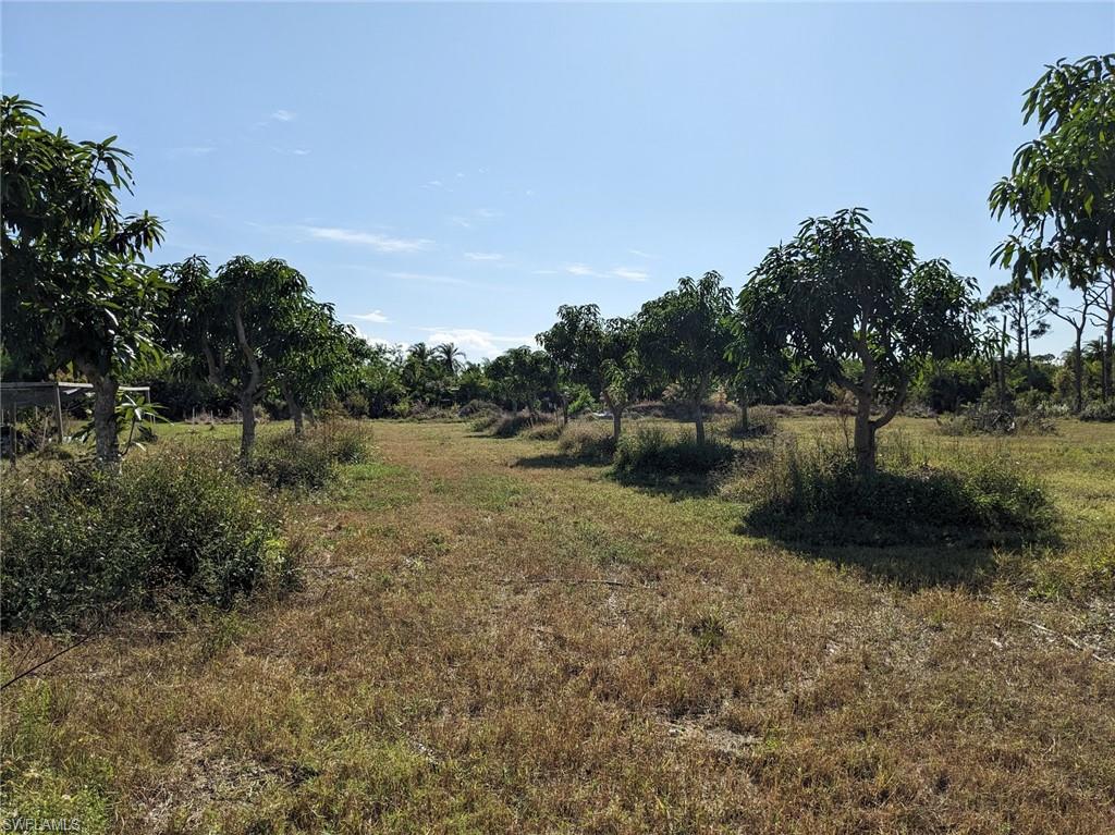 ST JAMES CITY - Land