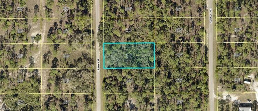 Huge half acre parcel located east of Joel Blvd. Direct access to either State Road 80 or State Road 82 for a quick trip to Interstate 75. Buy now and build your dream home on this huge half acre parcel, or hold for future investment. Taxes are LOW and there are no time restrictions on building, build when YOU'RE ready!