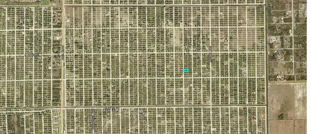 ISLAND OF HAPPINESS - Land