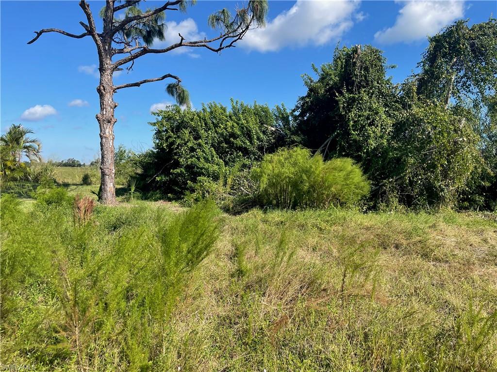 PINE ISLAND VILLAGE - Land