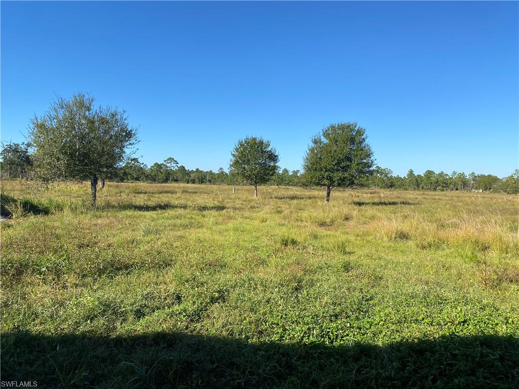 SOUTH HENDRY COUNTY - Residential