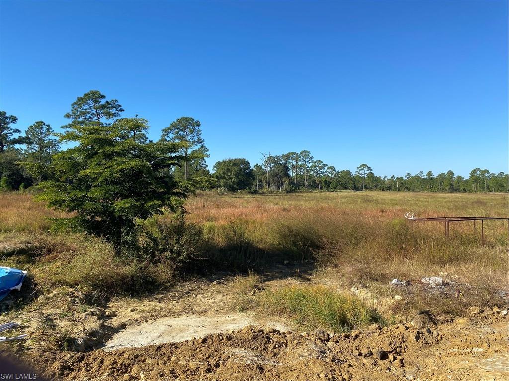 SOUTH HENDRY COUNTY - Residential