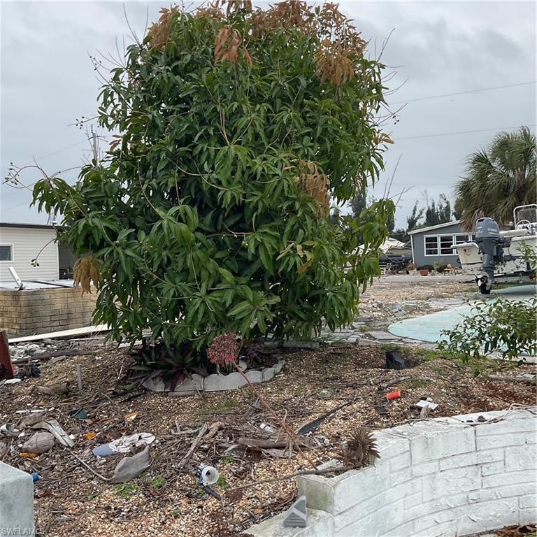 PINE ISLAND COVE - Land