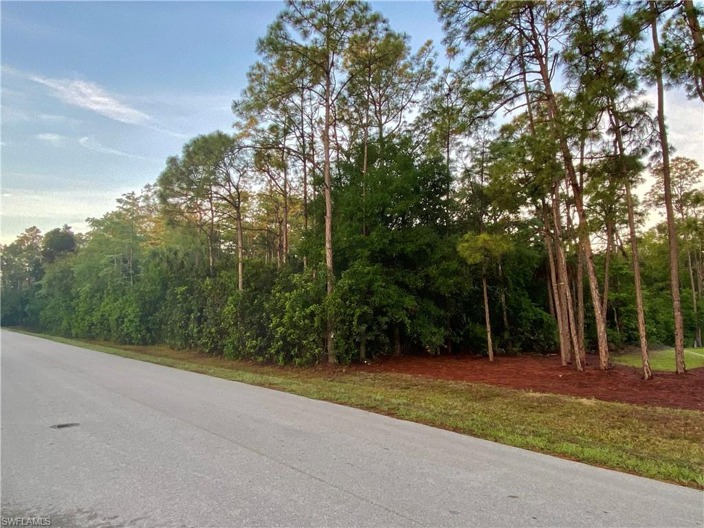 SAN CARLOS ESTATES - Land