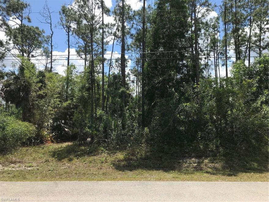 UPLANDS 100%. Enjoy the peaceful, country lifestyle of Golden Gate Estates, just minutes from the splendor and beautiful beaches of Naples, Florida. Build the home of your dreams on this wonderful 1.14 acre partially wooded lot. Zoning allows 2 horses per acre. 2019 Wetland Determination available upon request says property is 100% Uplands. Beautiful property with lots of nice pines and palms.