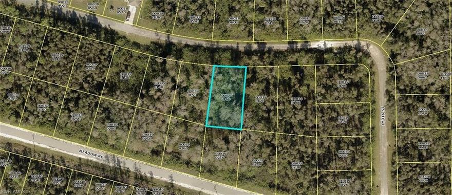 Location Location Locations...Great lot off of Hwy 82 in Lehigh Acres, 15 mins to Ft. Myers Airport and major shopping, 30 mins to beaches.  Buy now in one of the fastest developing cities in the US.