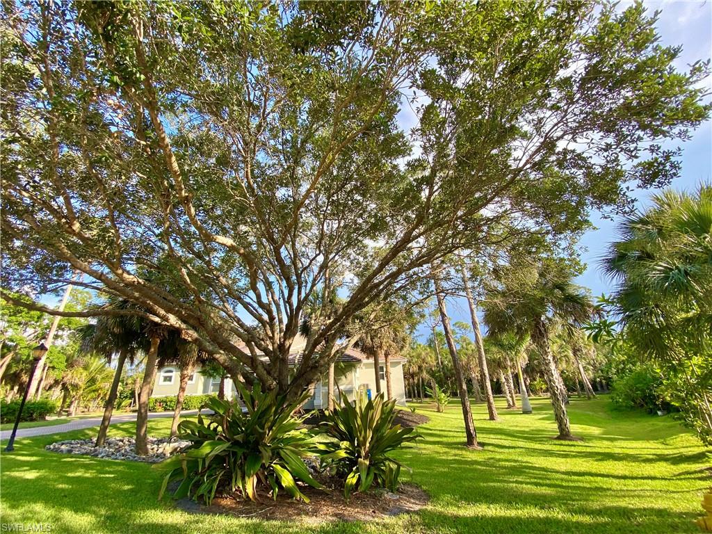 DEVONWOOD - Residential