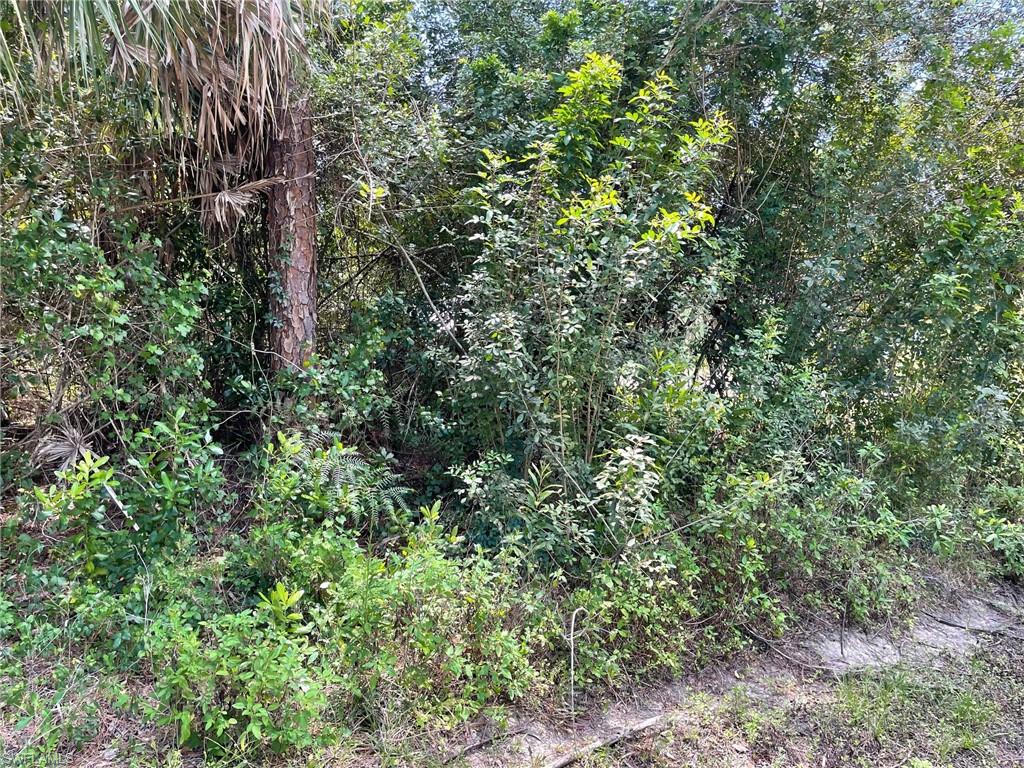 GOLDEN GATE ESTATES - Land