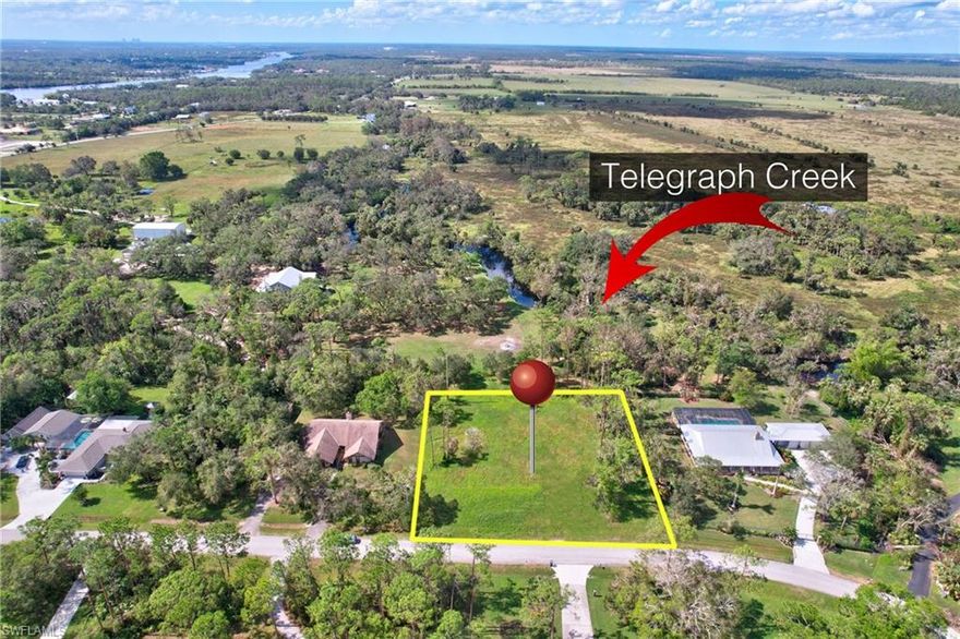 EXTRA WIDE HOMESITE, IN CHARMING COMMUNITY WITH MAJESTIC OAKS AND PINE TREES. THIS 1.1 ACRE SITE GIVES YOU PLENTY OF ROOM AND PRIVACY TO ENJOY TELEGRAPH CREEK ESTATES; ONE OF ALVA'S BEST NEIGHBORHOODS. THIS IS THE PERFECT SETTING TO ENJOY NATURE, BEAUTIFUL VISTAS, AND YOUR FUTURE CUSTOM HOME. FRANKLIN BOAT RAMP, PARK, & CAMPGROUND IS JUST ACROSS NORTH RIVER ROAD AND CALOOSAHATCHEE PARK IS NEARBY AS WELL. ENJOY THE GREAT OUTDOORS WHILE FISHING, KAYAKING, BOATING, HIKING, BIKING, AND MORE. THIS IS A MUST-SEE HOMESITE AND COMMUNITY.