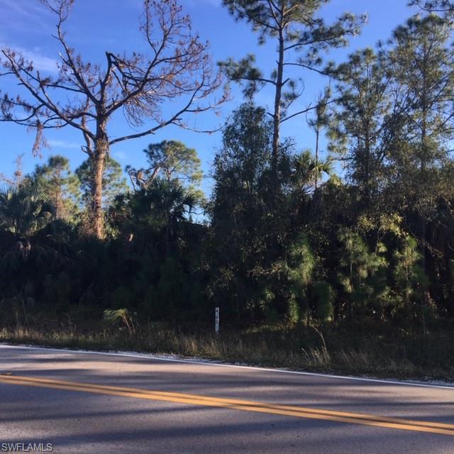 GOLDEN GATE ESTATES - Land