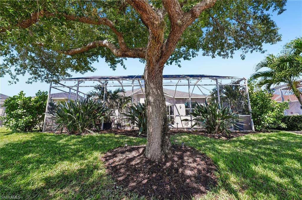 IBIS COVE - Residential