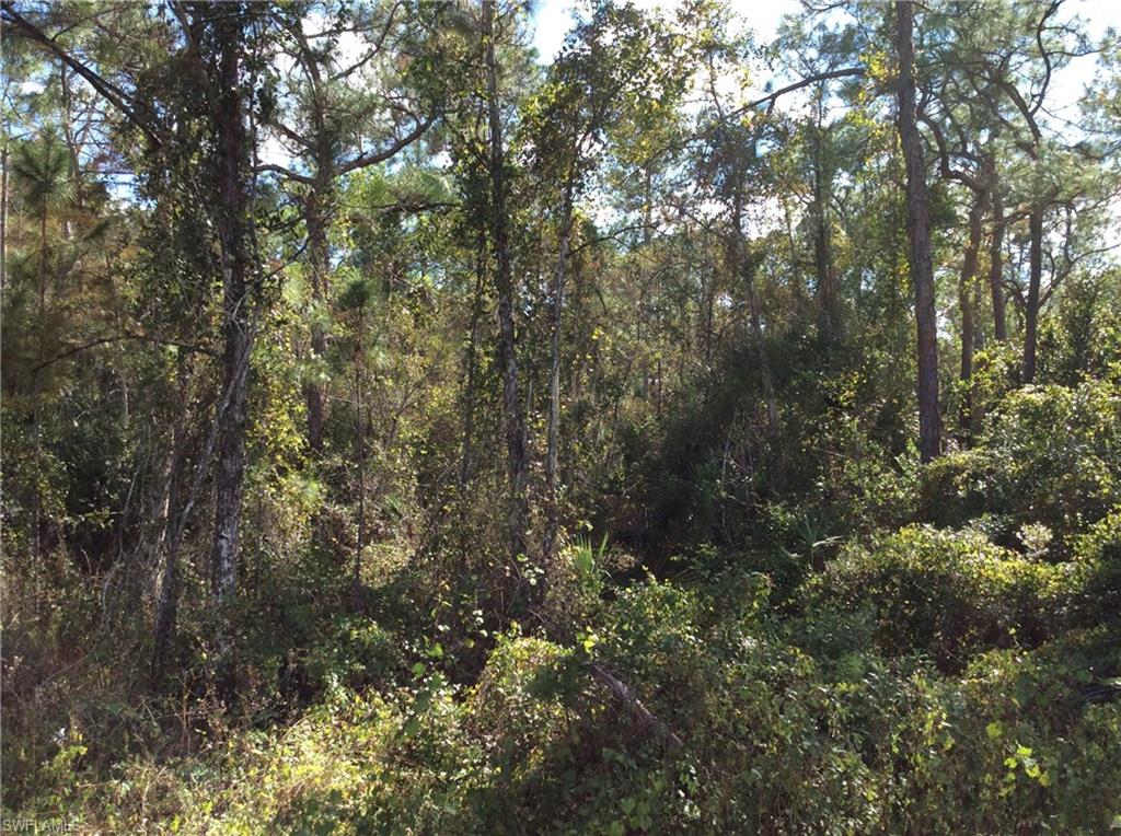 GOLDEN GATE ESTATES - Land