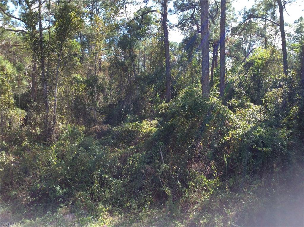 GOLDEN GATE ESTATES - Land