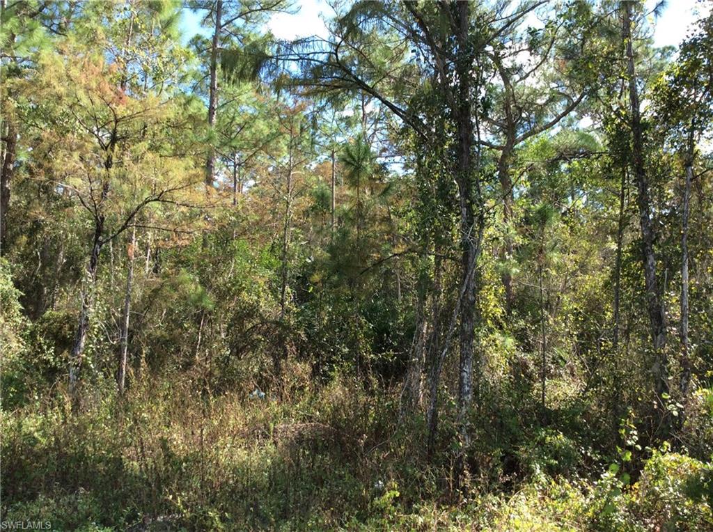 GOLDEN GATE ESTATES - Land