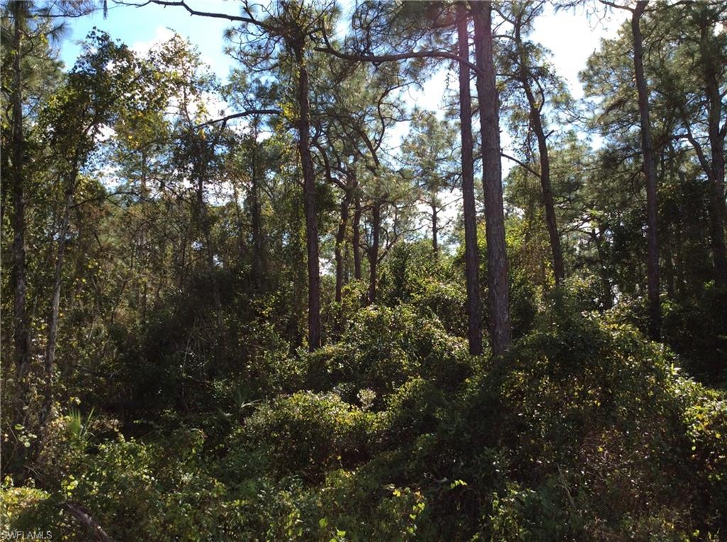 GOLDEN GATE ESTATES - Land