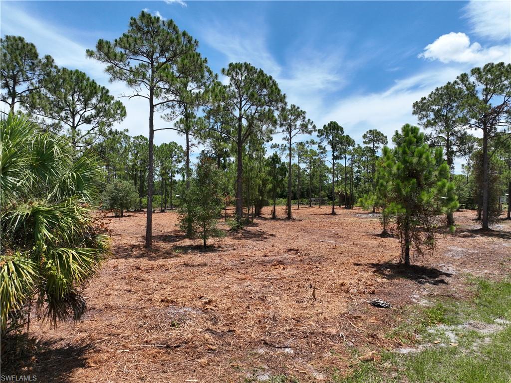 PIONEER PLANTATION - Land