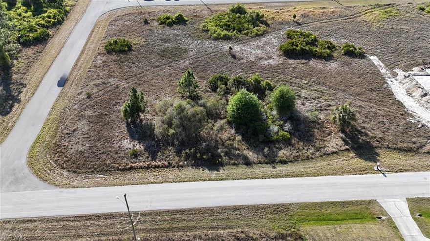 Take a look at your nearly cleared vacant lot ready for your next investment property. Close to Downtown Lehigh Acres and newly updated State Rd 82 towards your choice Ft Myers or Immokalee. Close to local schools, grocery stores, parks, entertainment and much more! Enjoy the convenience of newly paved roads wonderful for your investment property. ELETRIC AVAIABLE for hook up. Low Traffic great for walks with friends and family. Take a drive and see why this property is the right choice for your next new construction project!