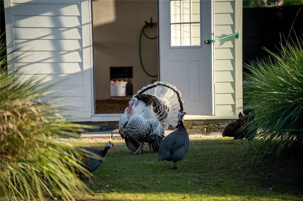 ACREAGE HEADER - Residential