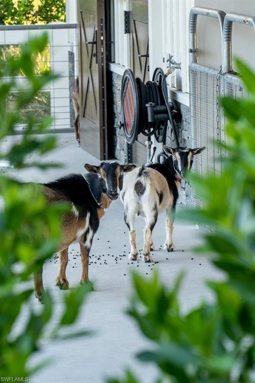 ACREAGE HEADER - Residential