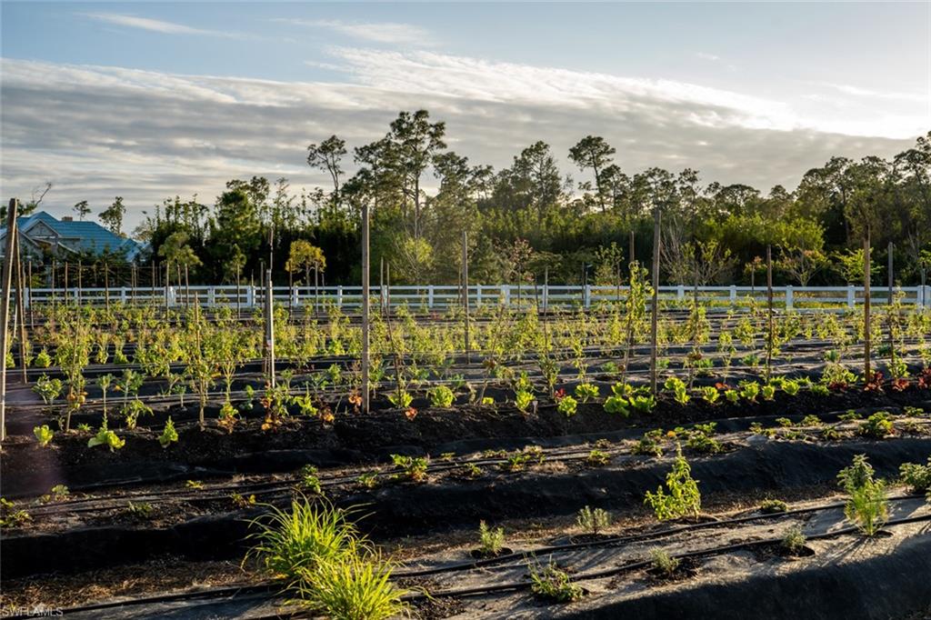 ACREAGE HEADER - Residential