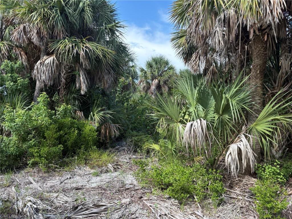 CASTAWAY KEY UNRECORDED SUBDIVISION - Land