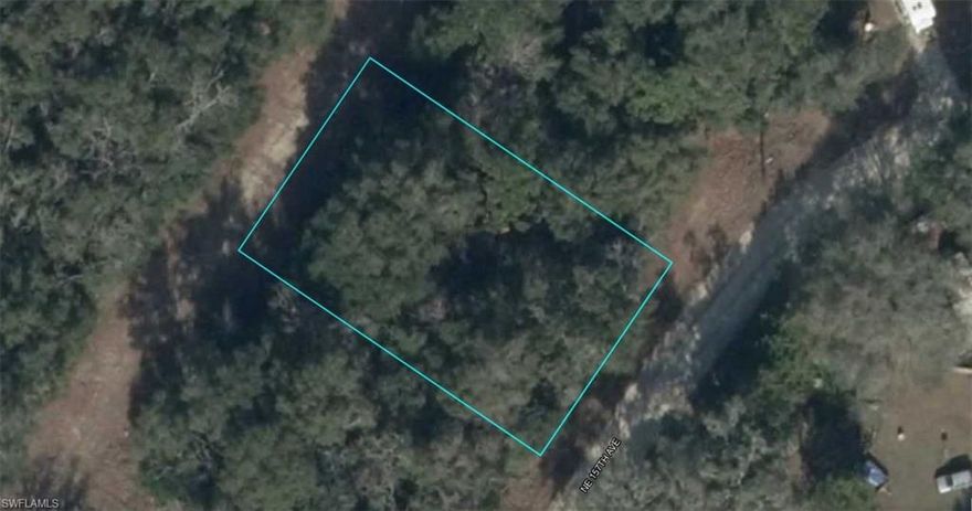 A ADJACENT VACANT LOT IN WILLISTON IN LEVY COUNTY!!! WE CAN DO A PACKAGE DEAL!!!